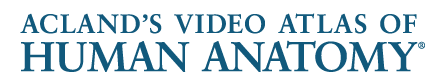 Acland’s Video Atlas of Human Anatom